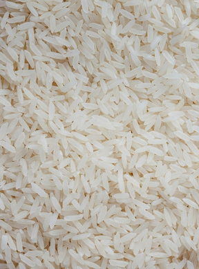 Food Processing